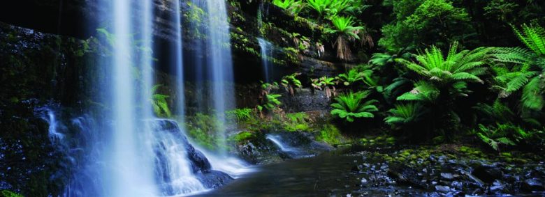 Ku-ring-gai waterfall