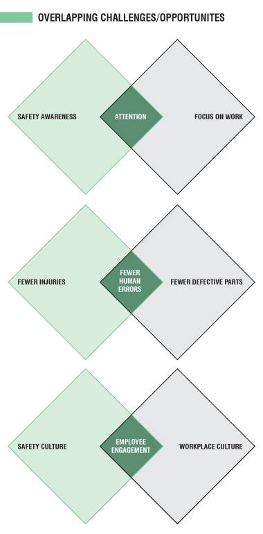 Overlapping Challenges/Opportunities