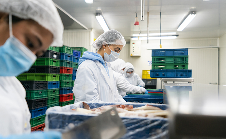 Group of workers working in the production line at a fish factory